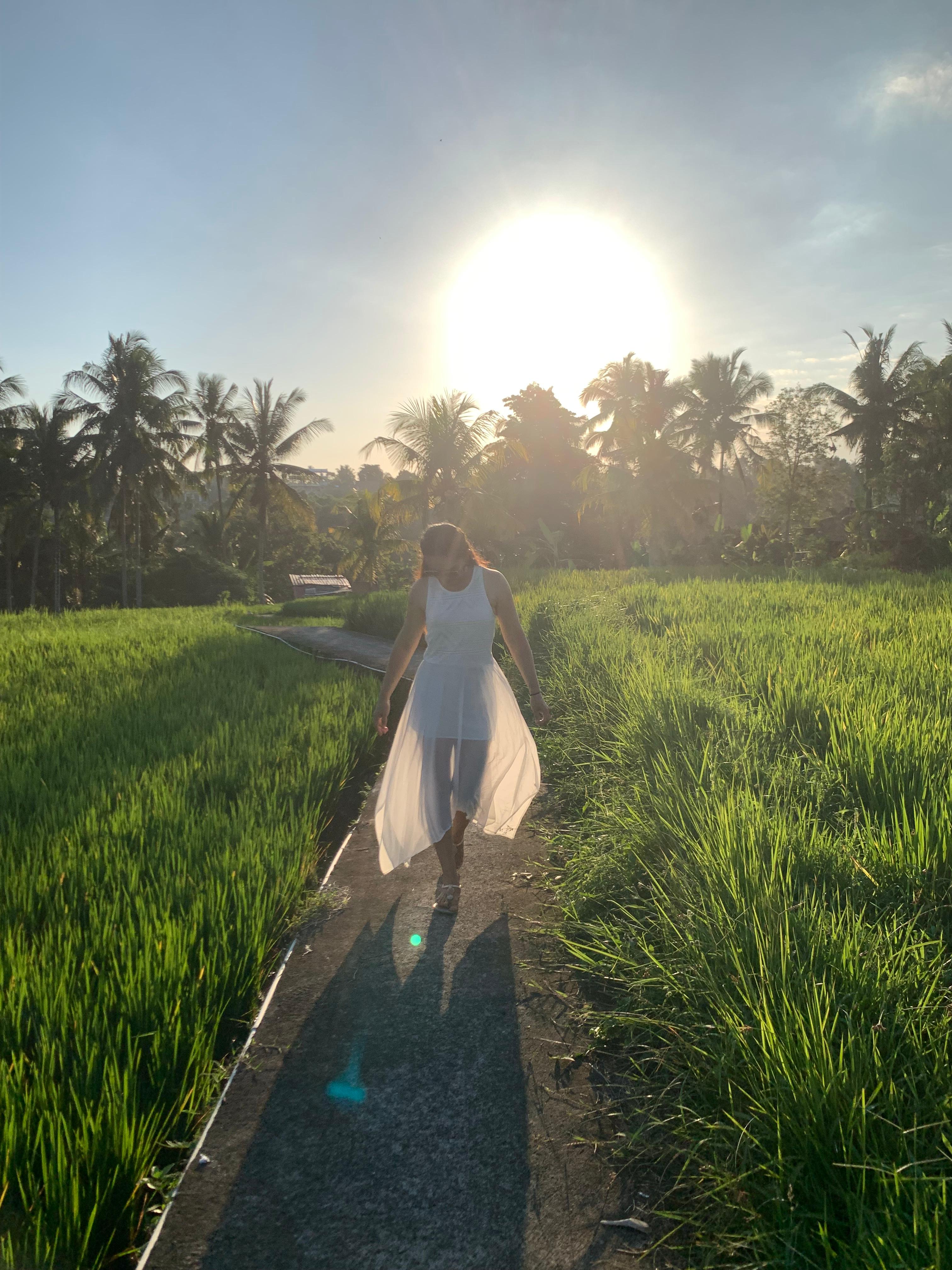 Rice Field Trekking